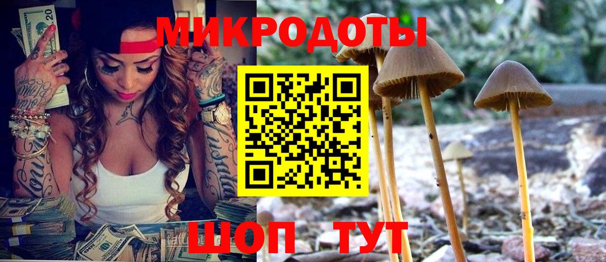закладка  Галлюциногенные грибы мицелий  Вход с VPN  Ноябрьск 
